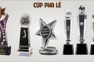 Mau-cup-pha-le-luu-niem-dep