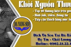 da-nang-seo-dich-vu-seo-tai-da-nang-đà-nẵng-seo