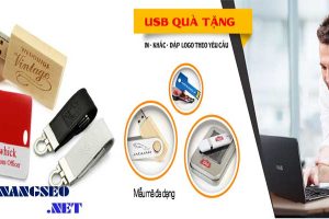 Dat-mua-usb-qua-tang-usb-quang-cao-gia-re