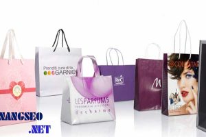 Mau-tui-giay-cao-cap-cho-cac-shop-thoi-trang