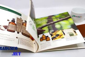 Xuong-in-catalogue-gia-re-tai-da-nang